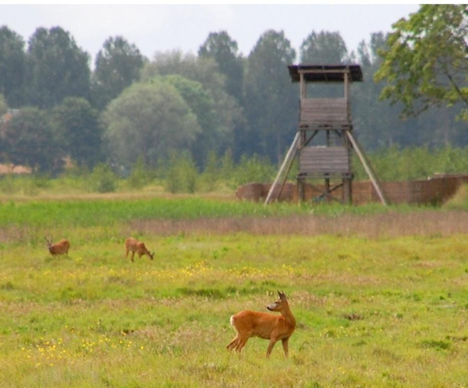 Am Treis Villa Wieringerwerf Kültér fotó